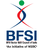 Banking, Financial Services and Insurance (BFSI)